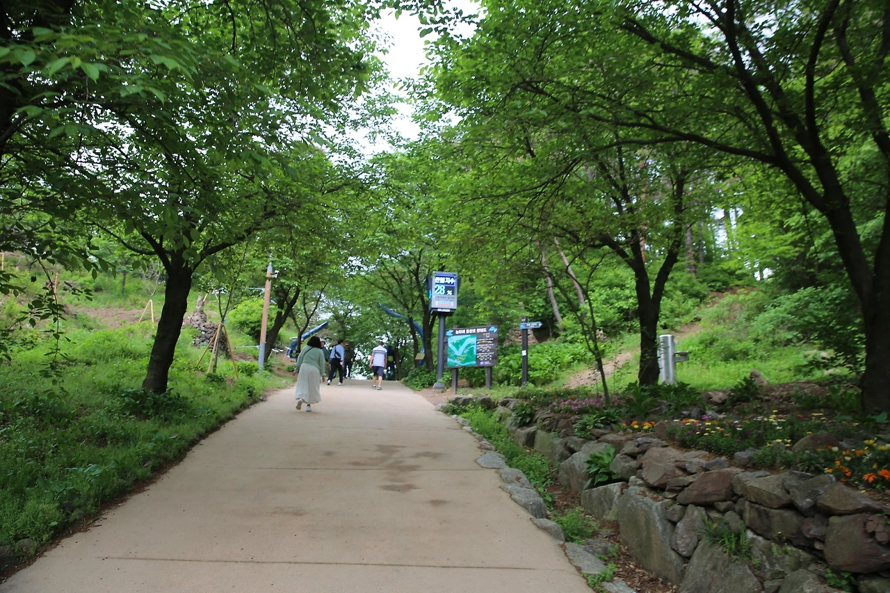 MG0A1539_новый размер.JPG