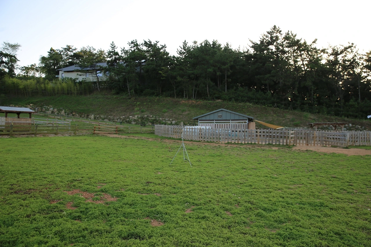 MG0A1409_новый размер.JPG