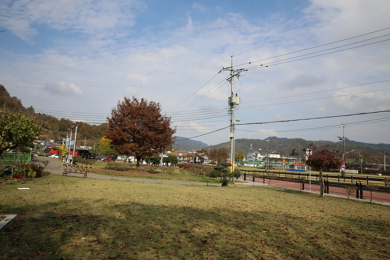 MG0A9876_новый размер.JPG