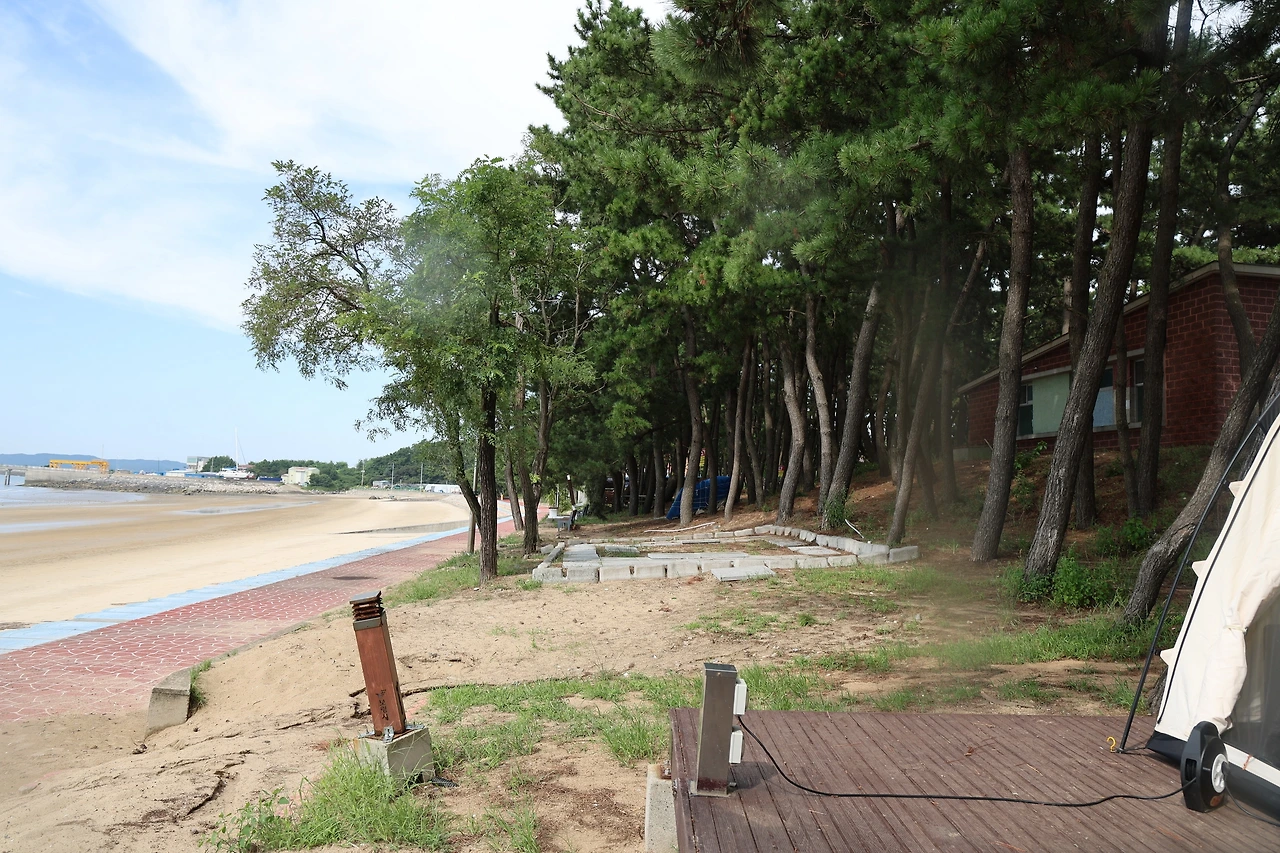 0R5A4418_новый размер.JPG