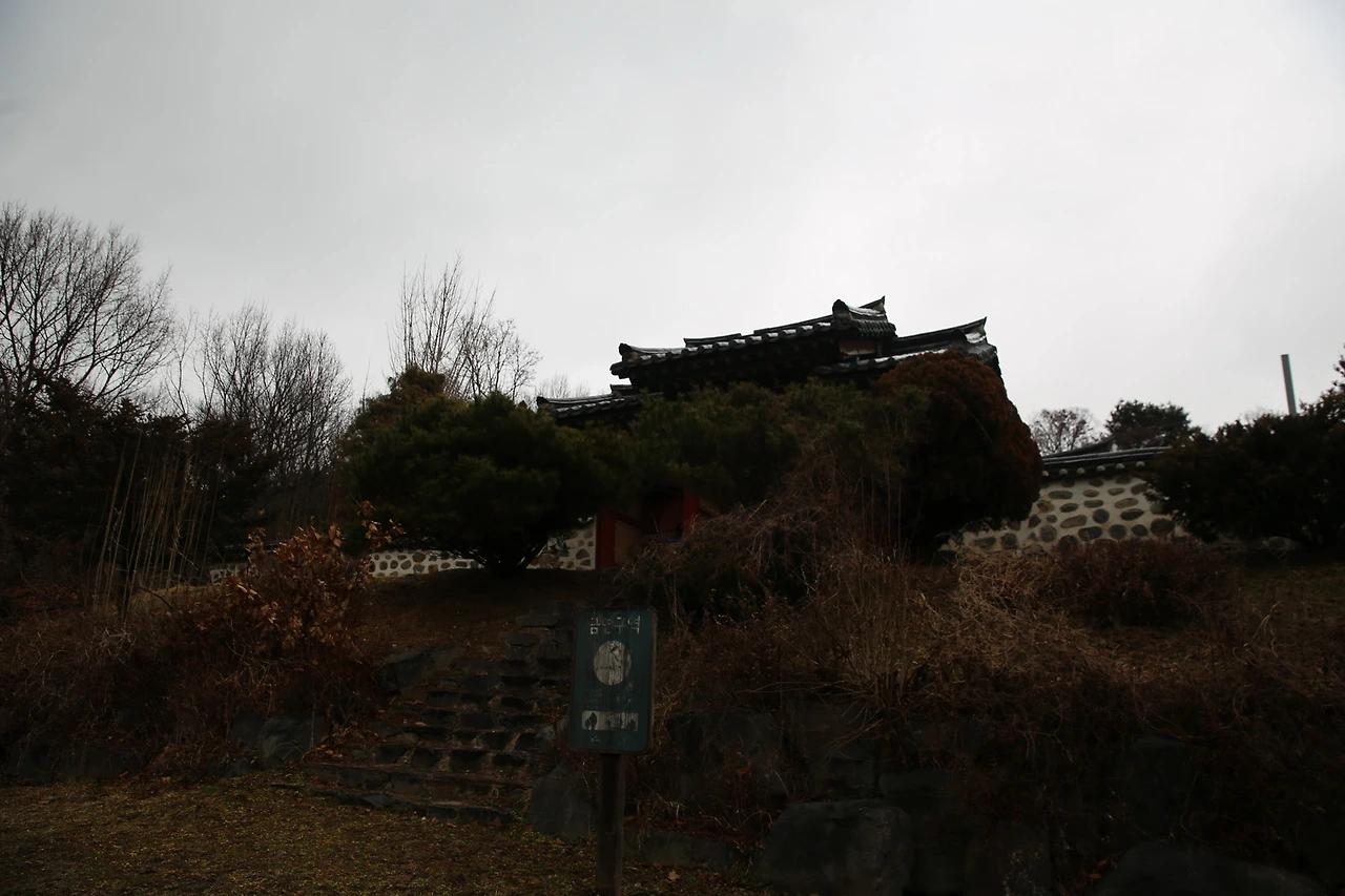 MG0A9881_новый размер.JPG