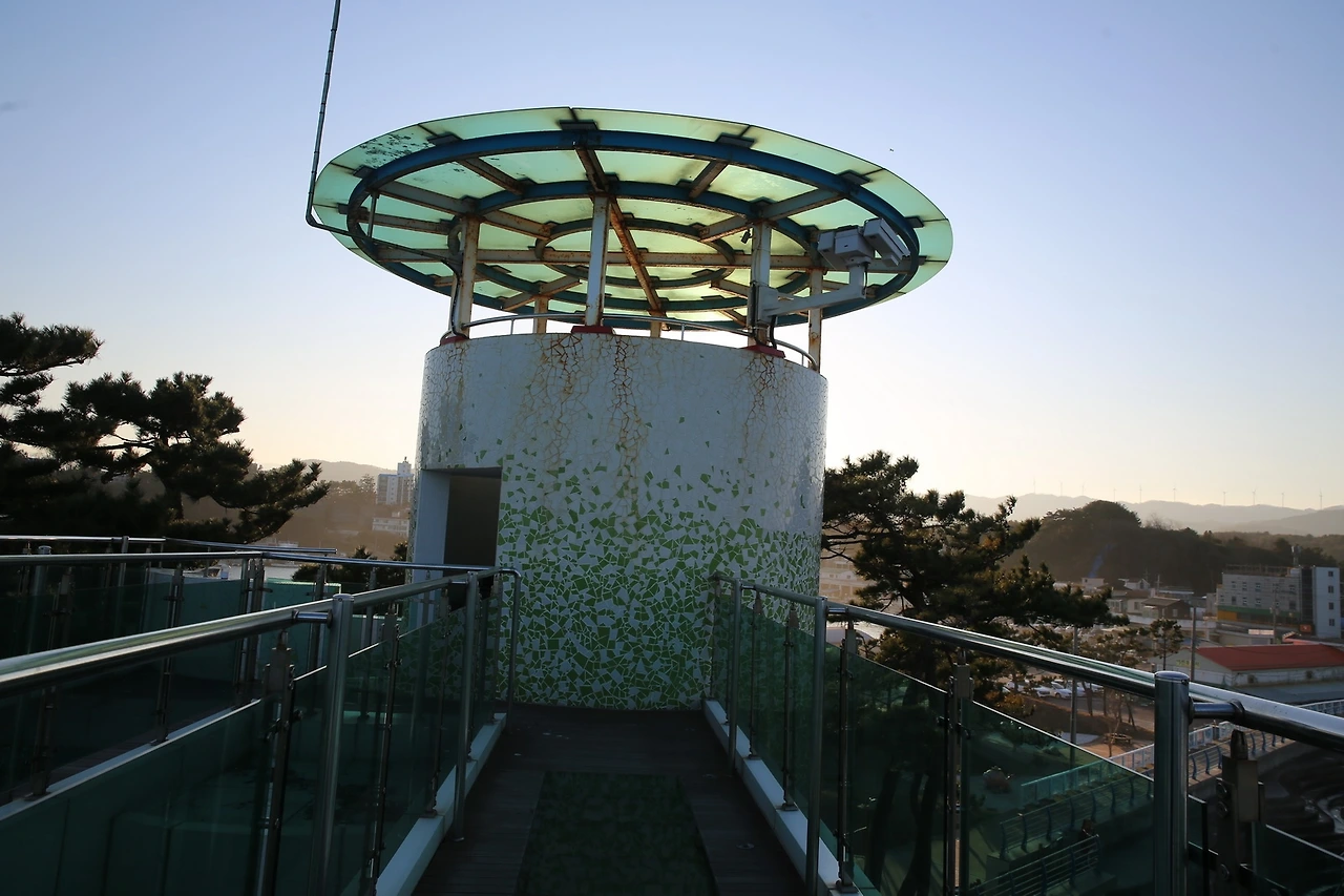 MG0A6690_новый размер.JPG