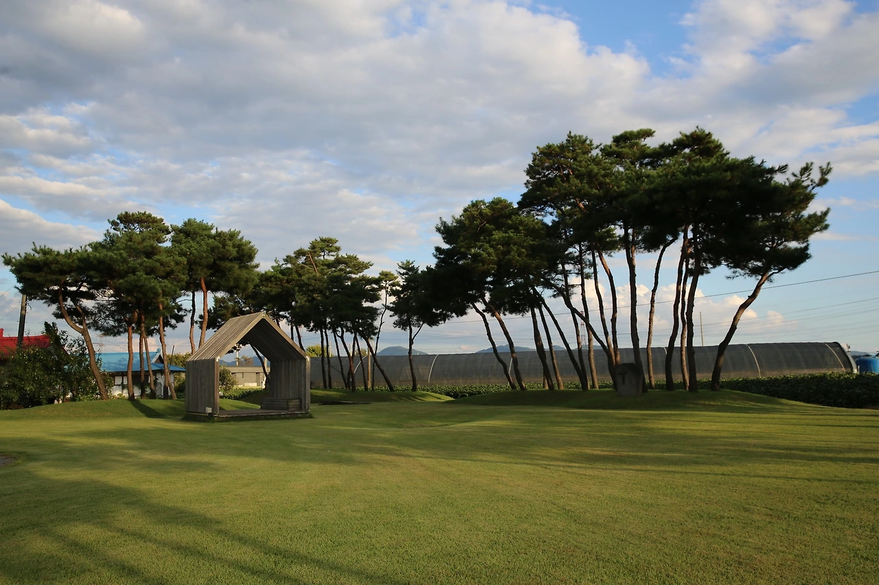 MG0A1892_новый размер.JPG