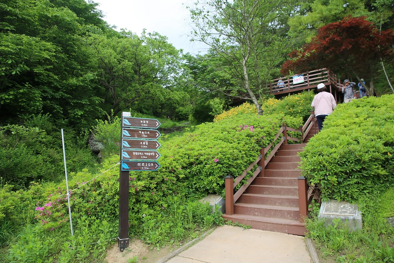 MG0A1534_новый размер.JPG