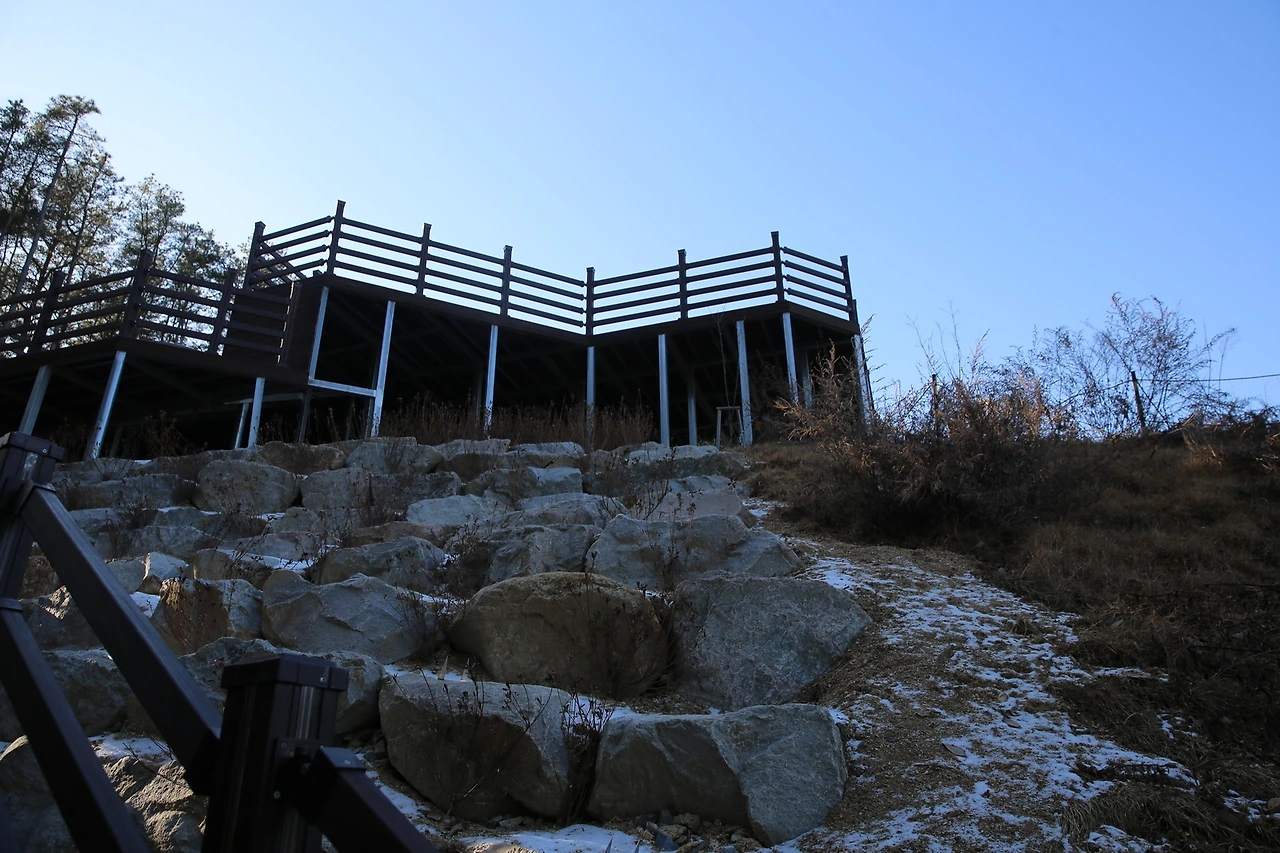 MG0A6077_новый размер.JPG