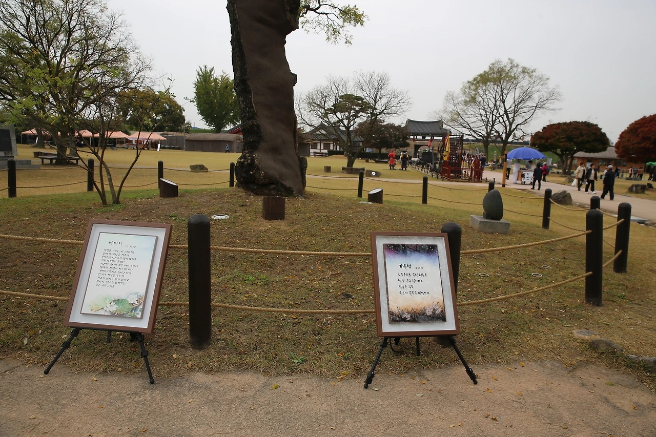 MG0A9576_новый размер.JPG