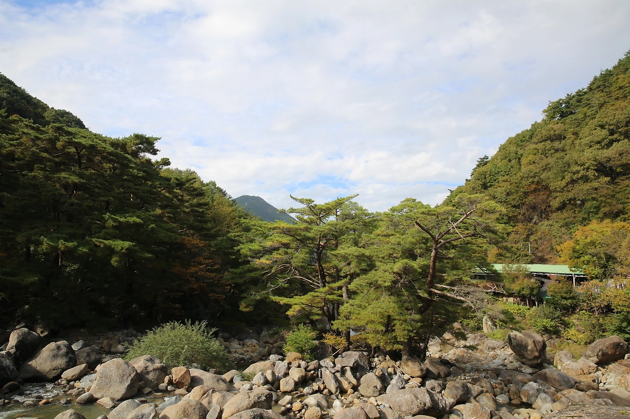 MG0A7866_новый размер.JPG