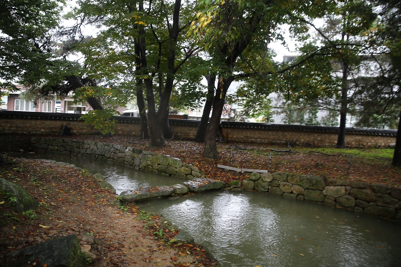 MG0A5973_новый размер.JPG