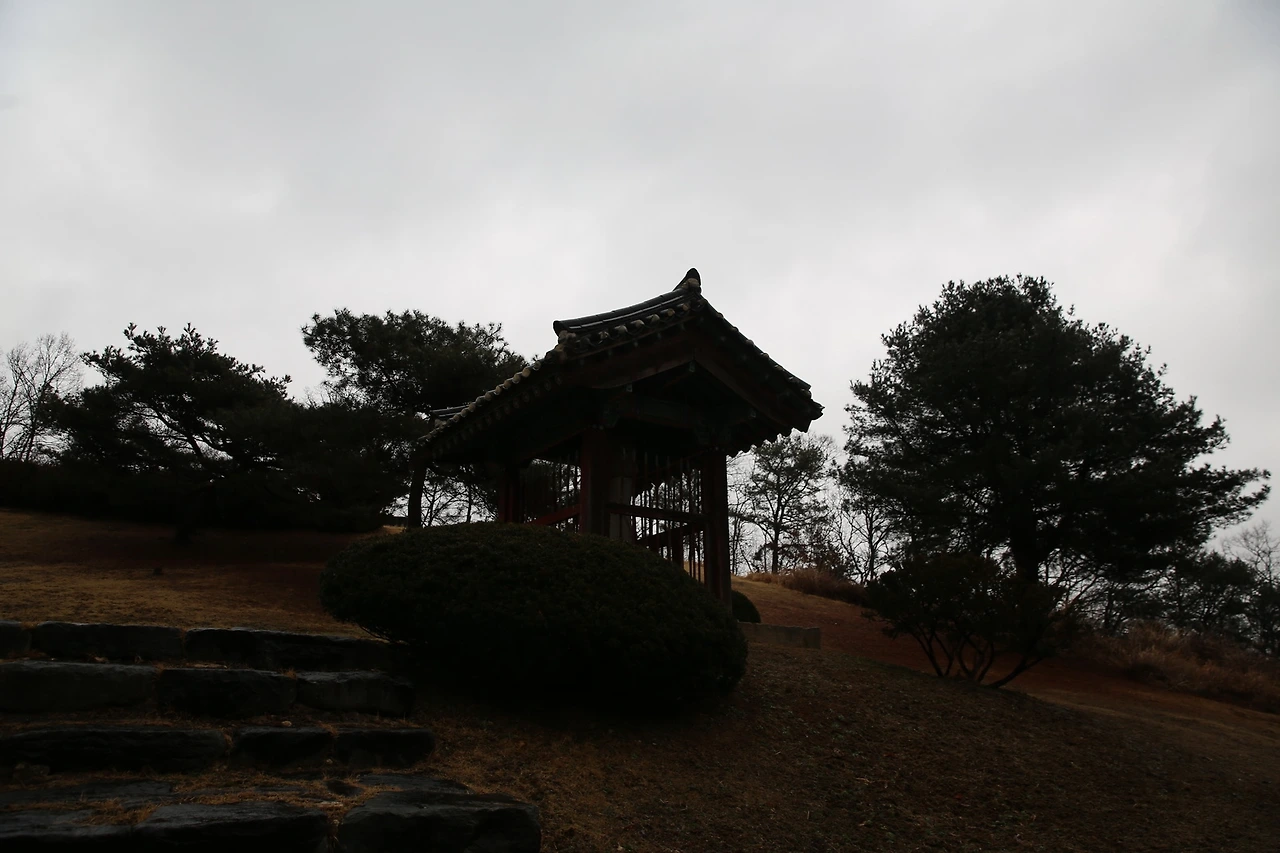 MG0A9888_новый размер.JPG