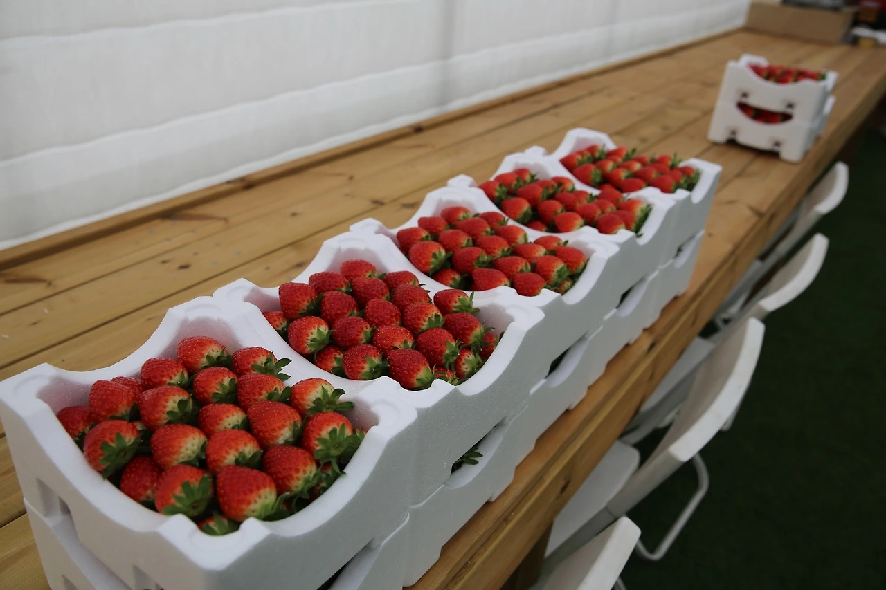 MG0A5305_новый размер.JPG