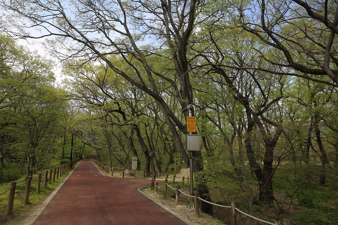 MG0A9139_новый размер.JPG