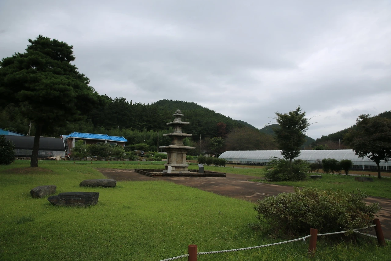 MG0A2475_новый размер.JPG