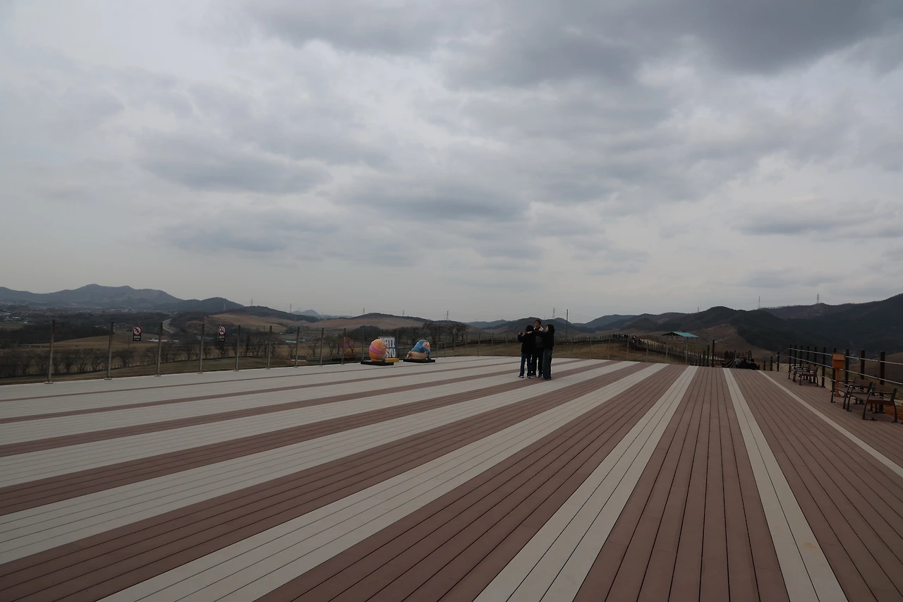 0R5A2817_новый размер.JPG