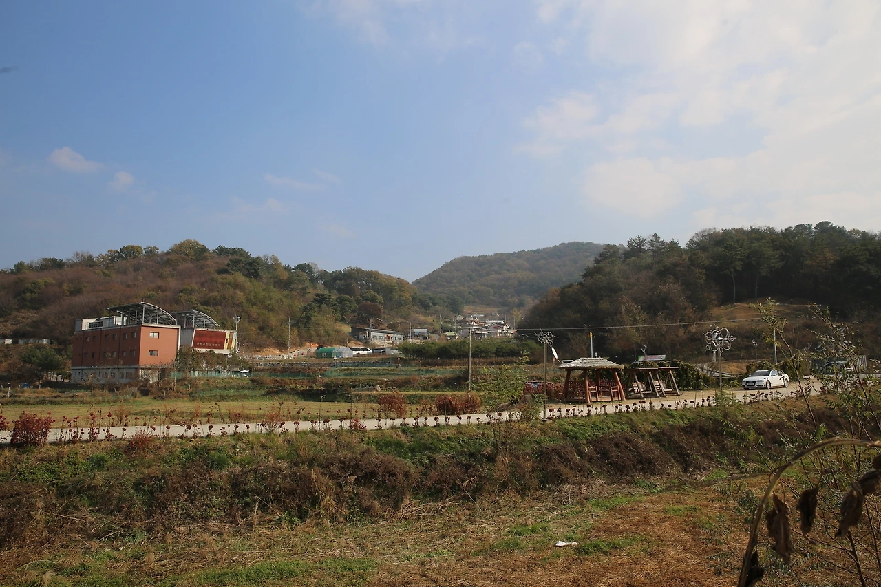 MG0A0808_новый размер.JPG