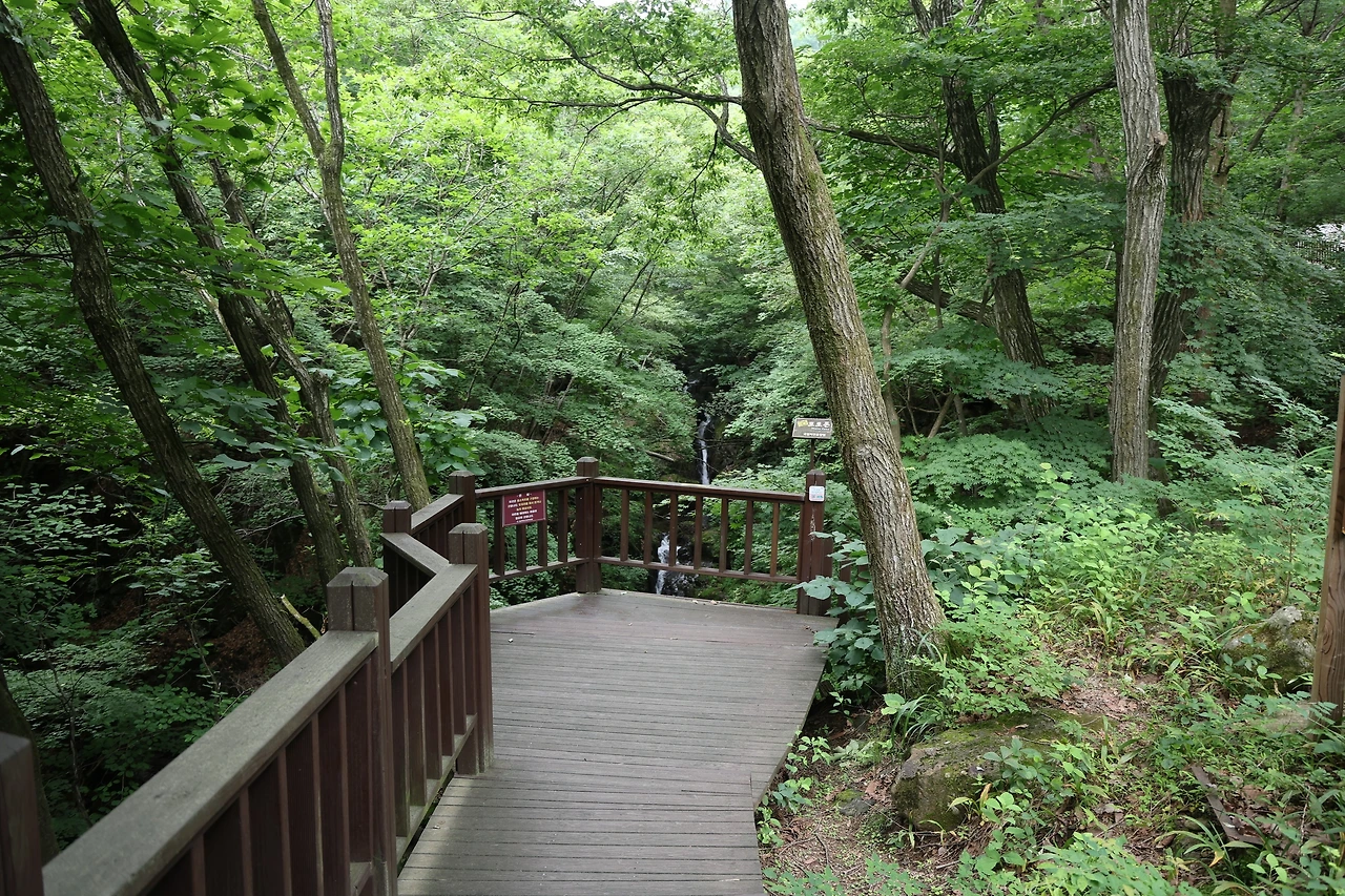 0R5A7511_новый размер.JPG