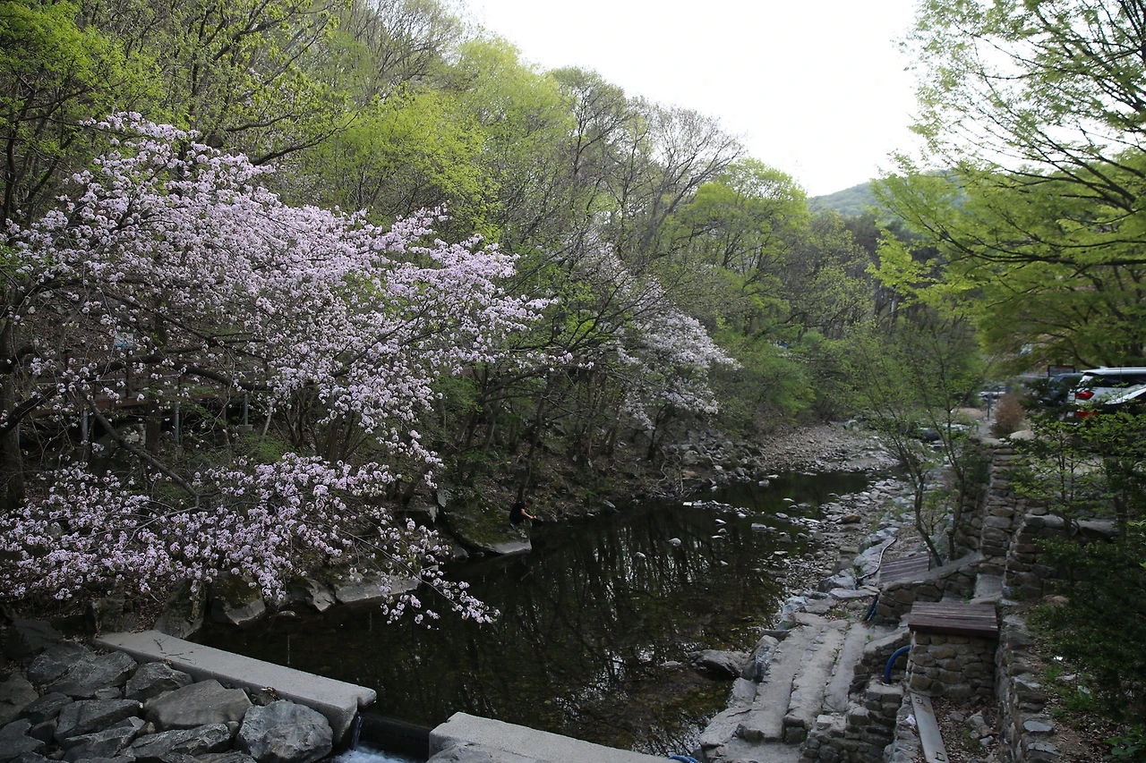 MG0A9511_новый размер.JPG