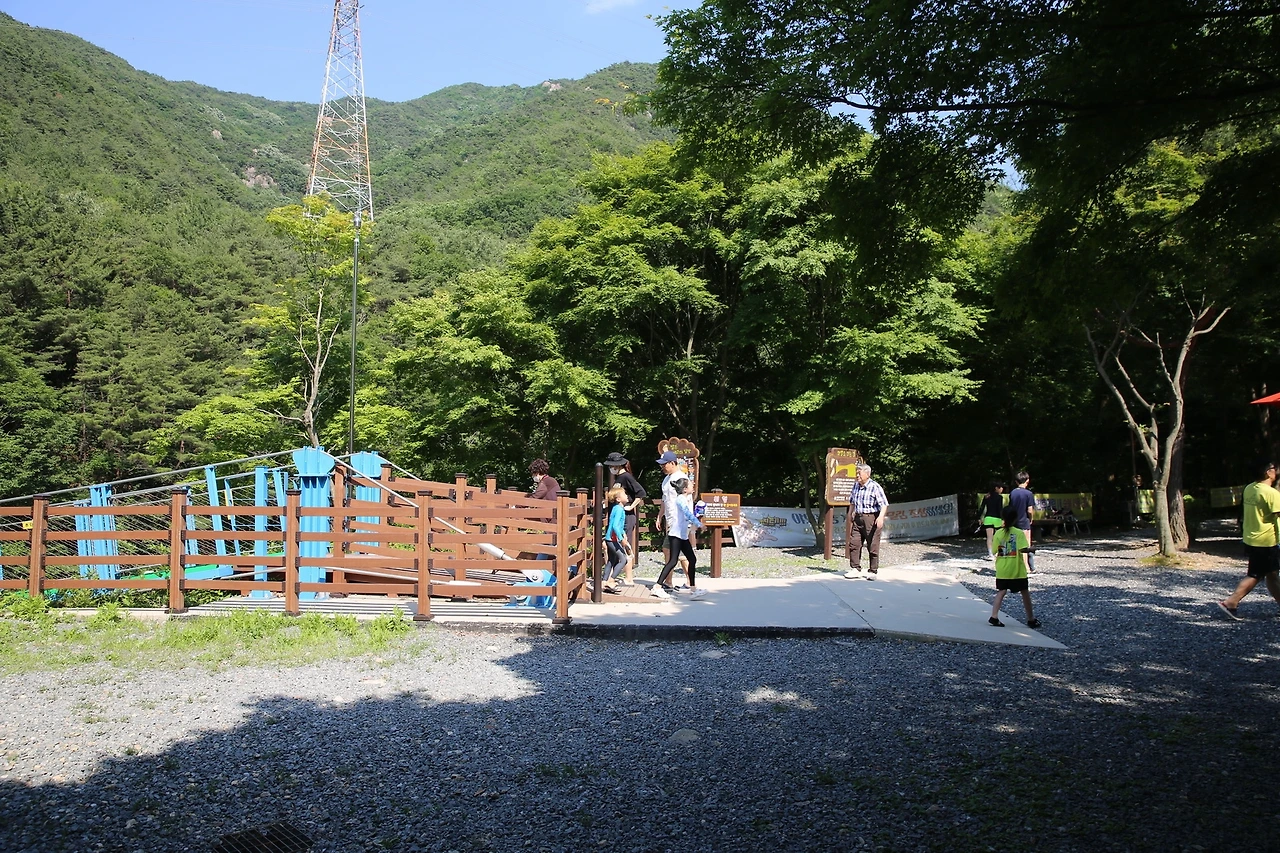 MG0A1545_новый размер.JPG