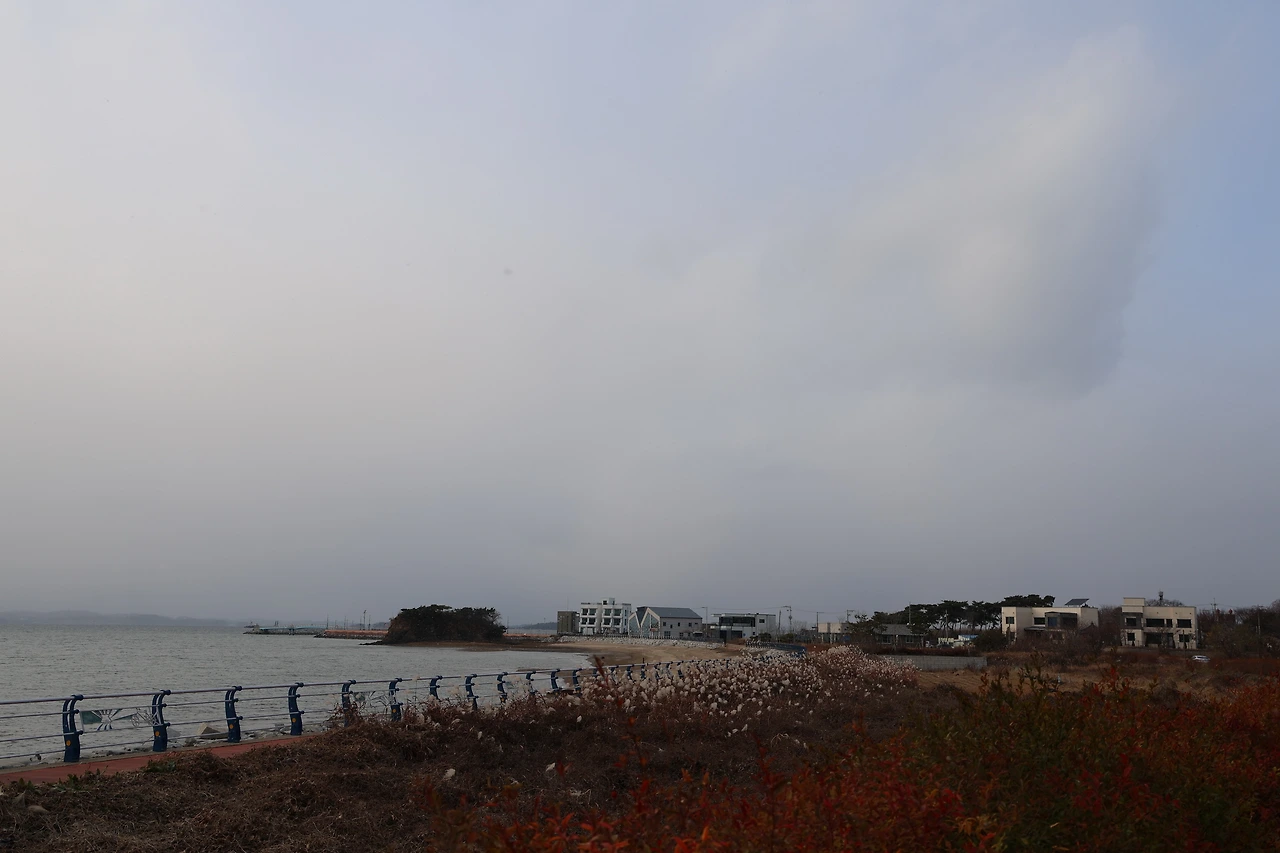 0R5A5299_новый размер.JPG