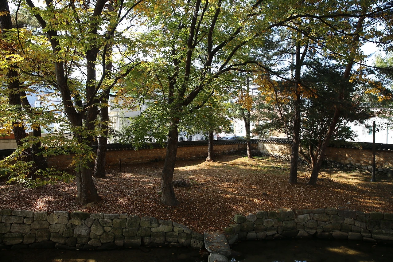 MG0A8335_новый размер.JPG