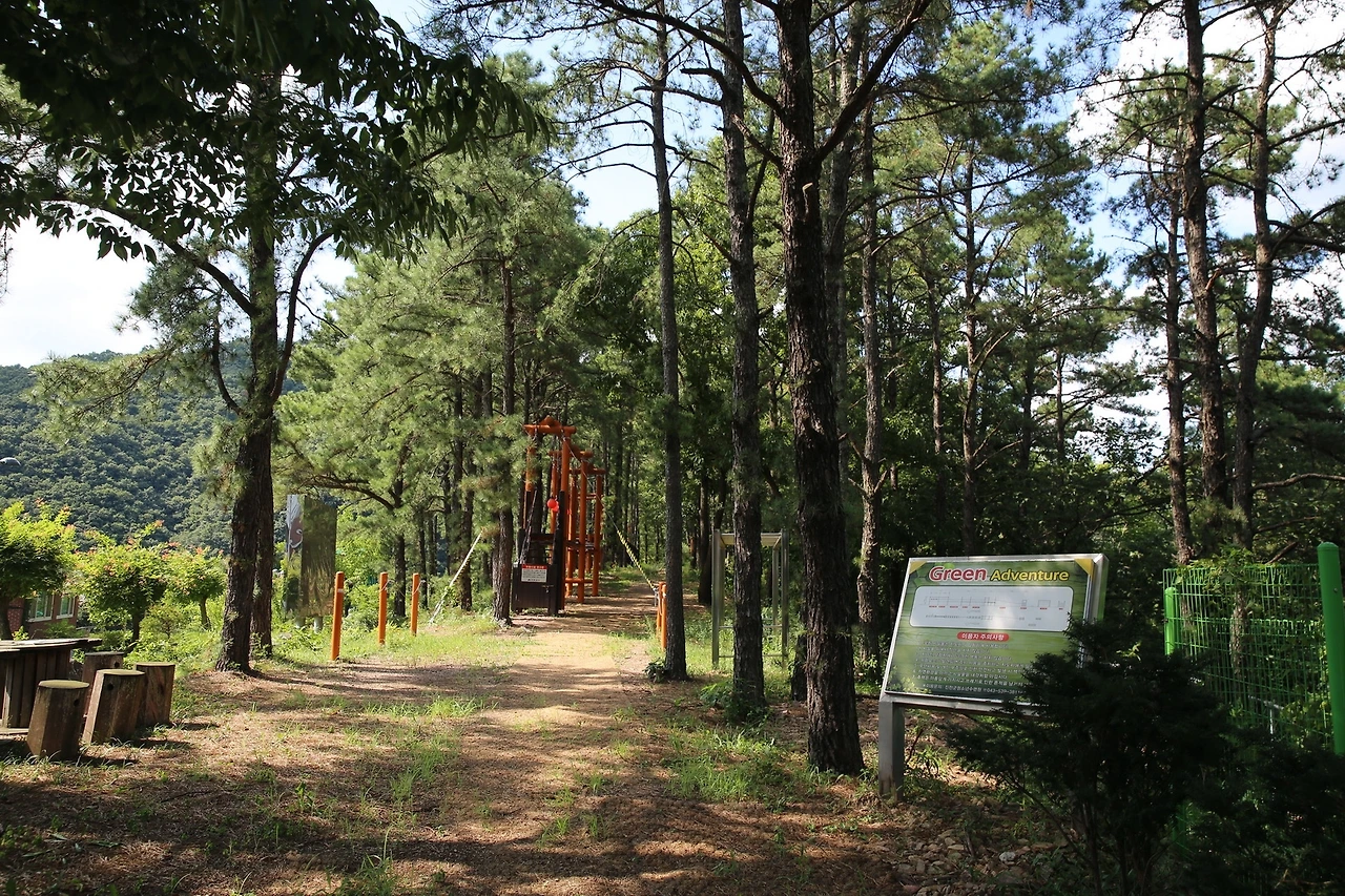 MG0A7939_новый размер.JPG