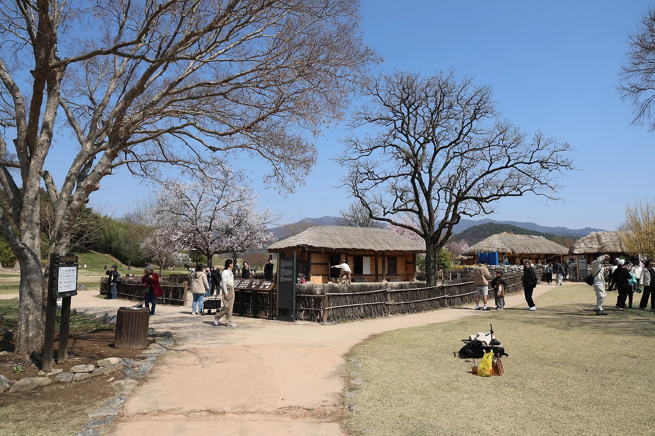 0R5A5984_новый размер.JPG