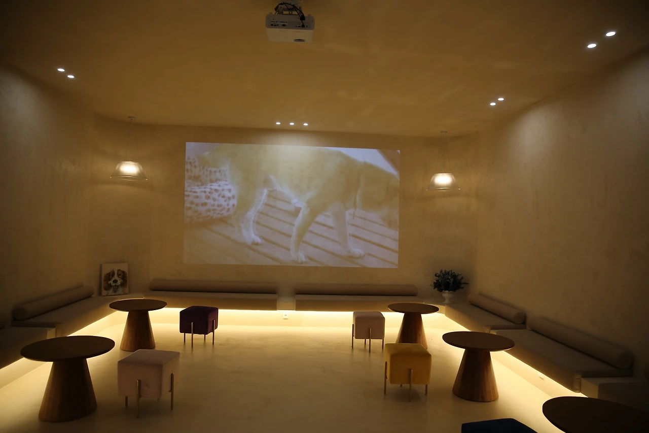 MG0A8902_новый размер.JPG