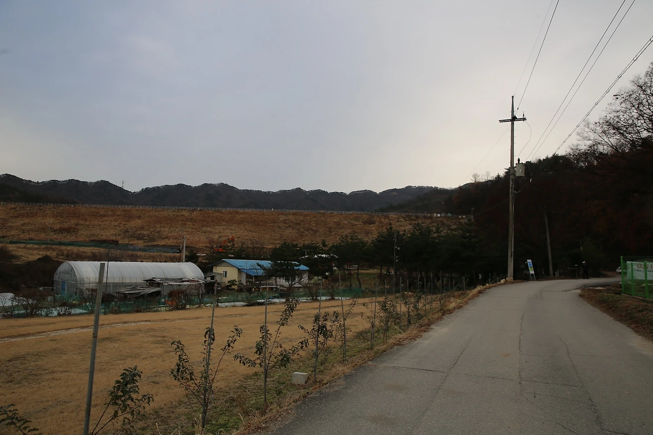 MG0A4433_новый размер.JPG