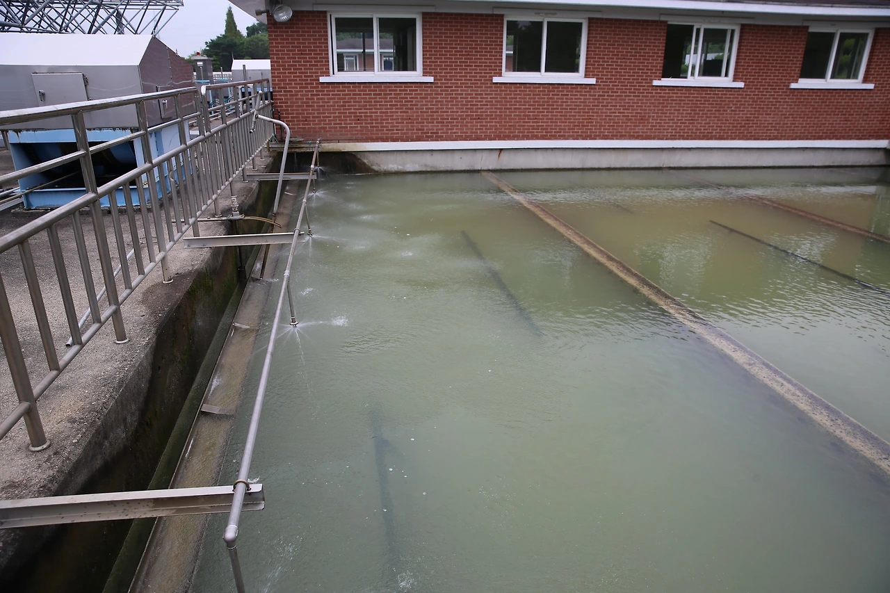 MG0A8483_новый размер.JPG