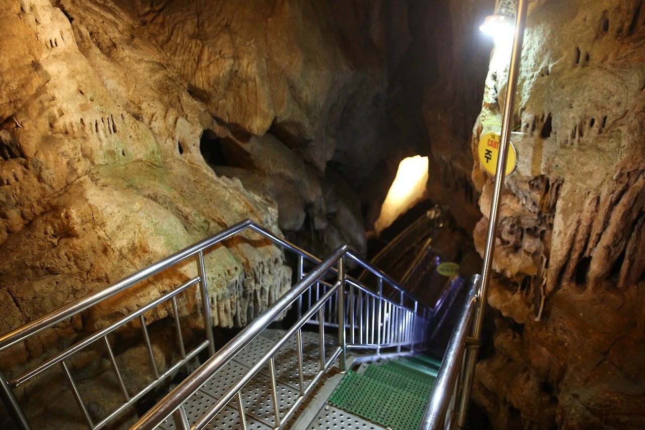 MG0A9728_новый размер.JPG