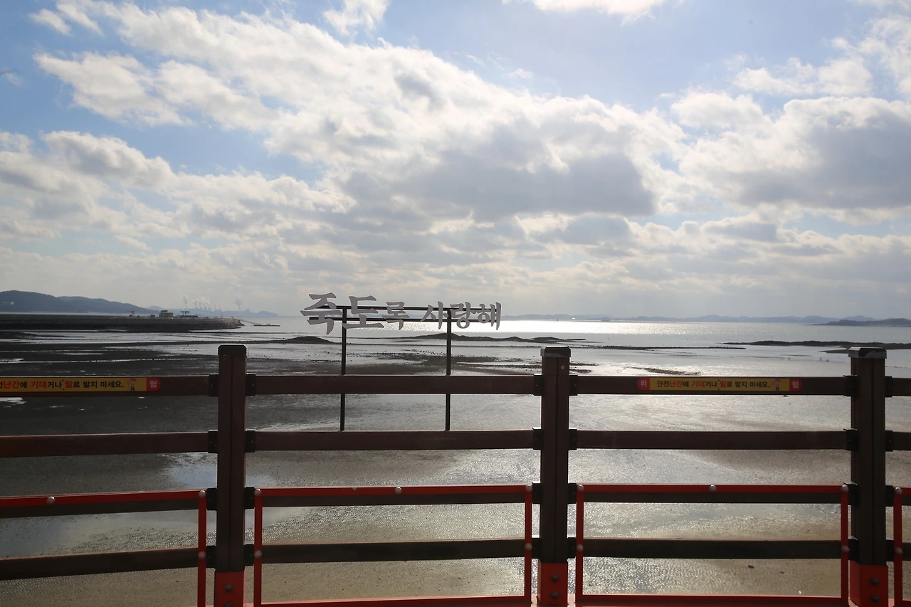 MG0A3142_новый размер.JPG