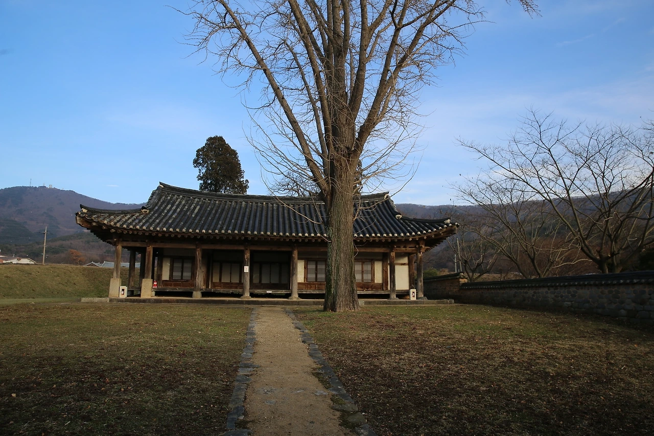 MG0A6909_новый размер.JPG