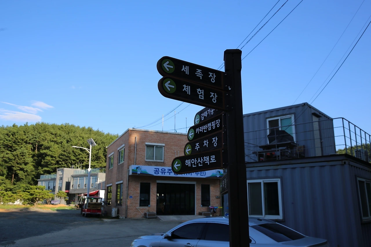 MG0A9271_новый размер.JPG