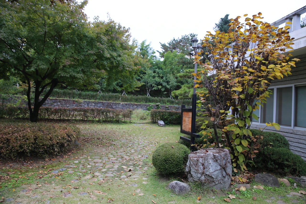 MG0A7706_новый размер.JPG