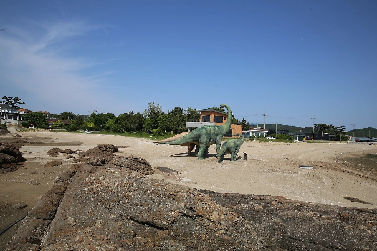 MG0A3933_новый размер.JPG