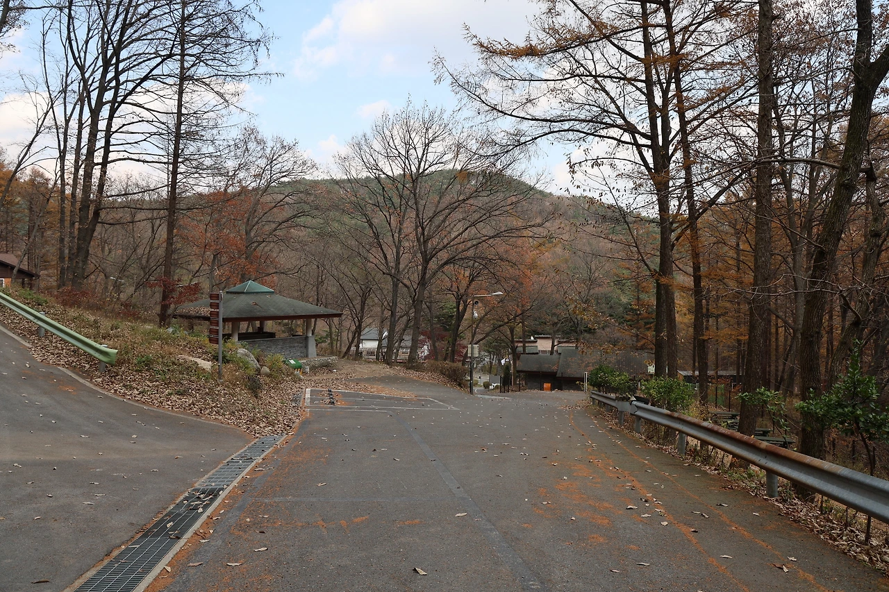 0R5A3094_новый размер.JPG