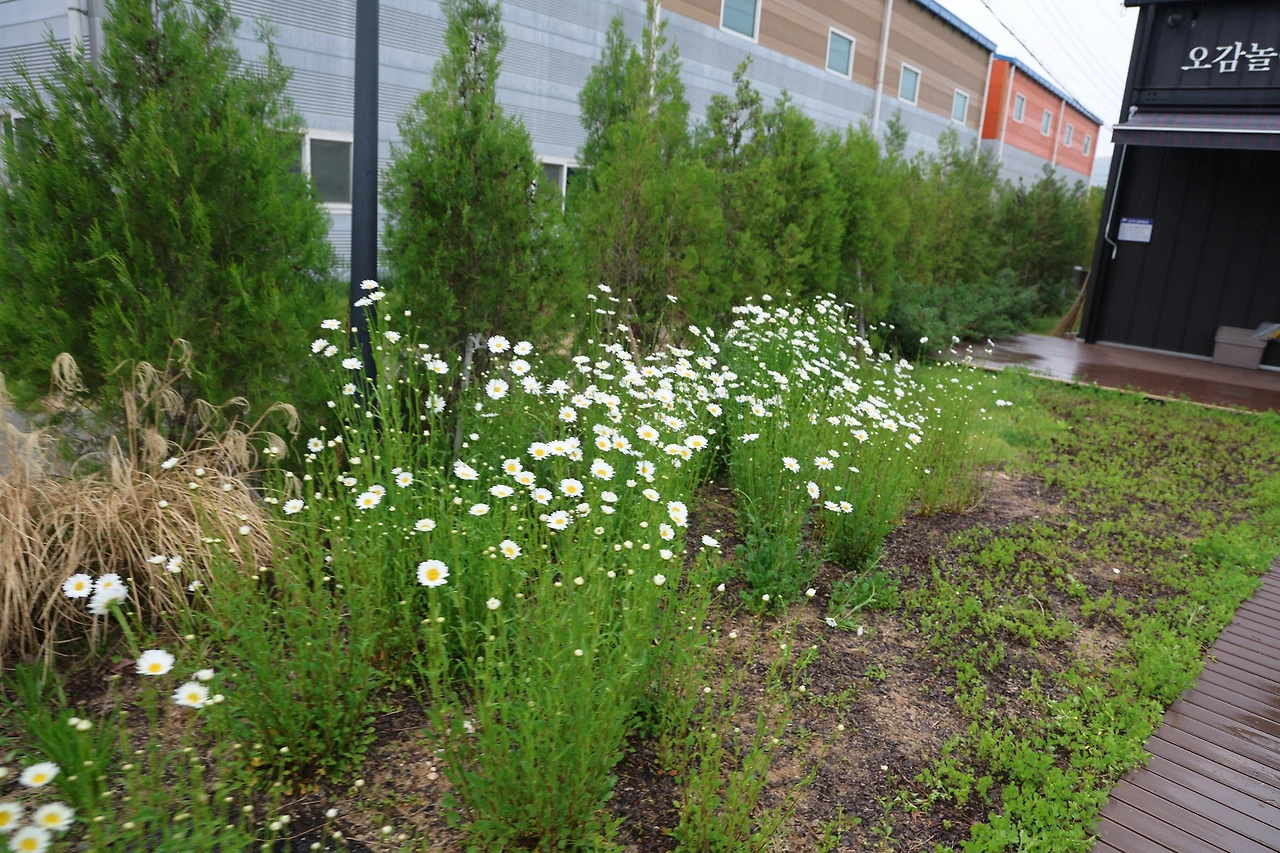 0R5A9835_новый размер.JPG