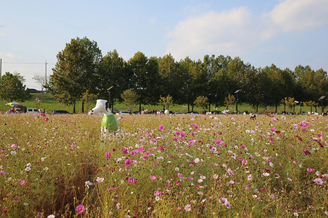 MG0A6545_новый размер.JPG