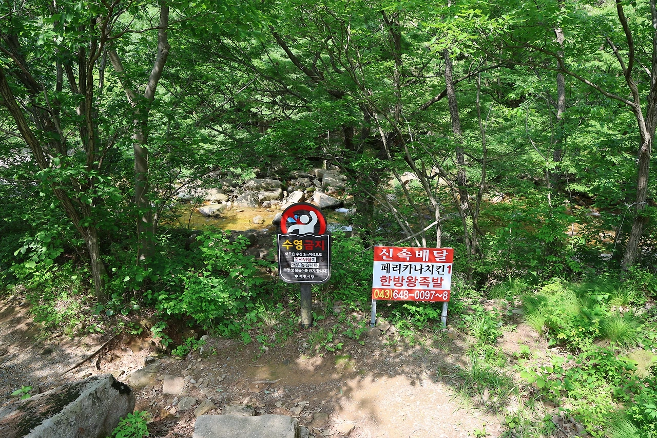 0R5A1376_новый размер.JPG