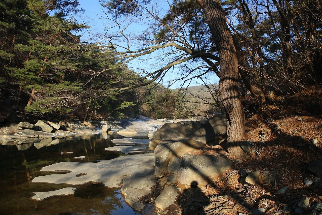 MG0A7631_новый размер.JPG