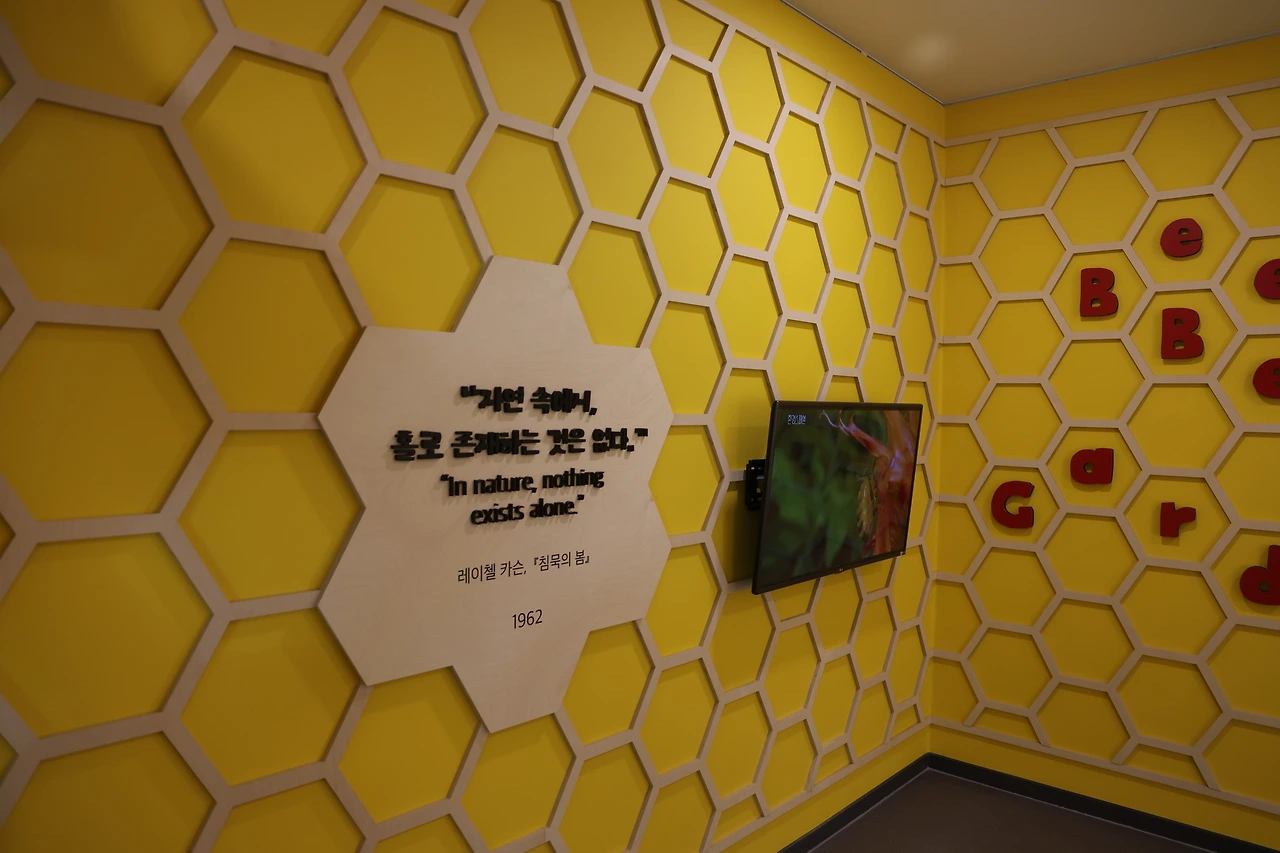 0R5A9687_новый размер.JPG