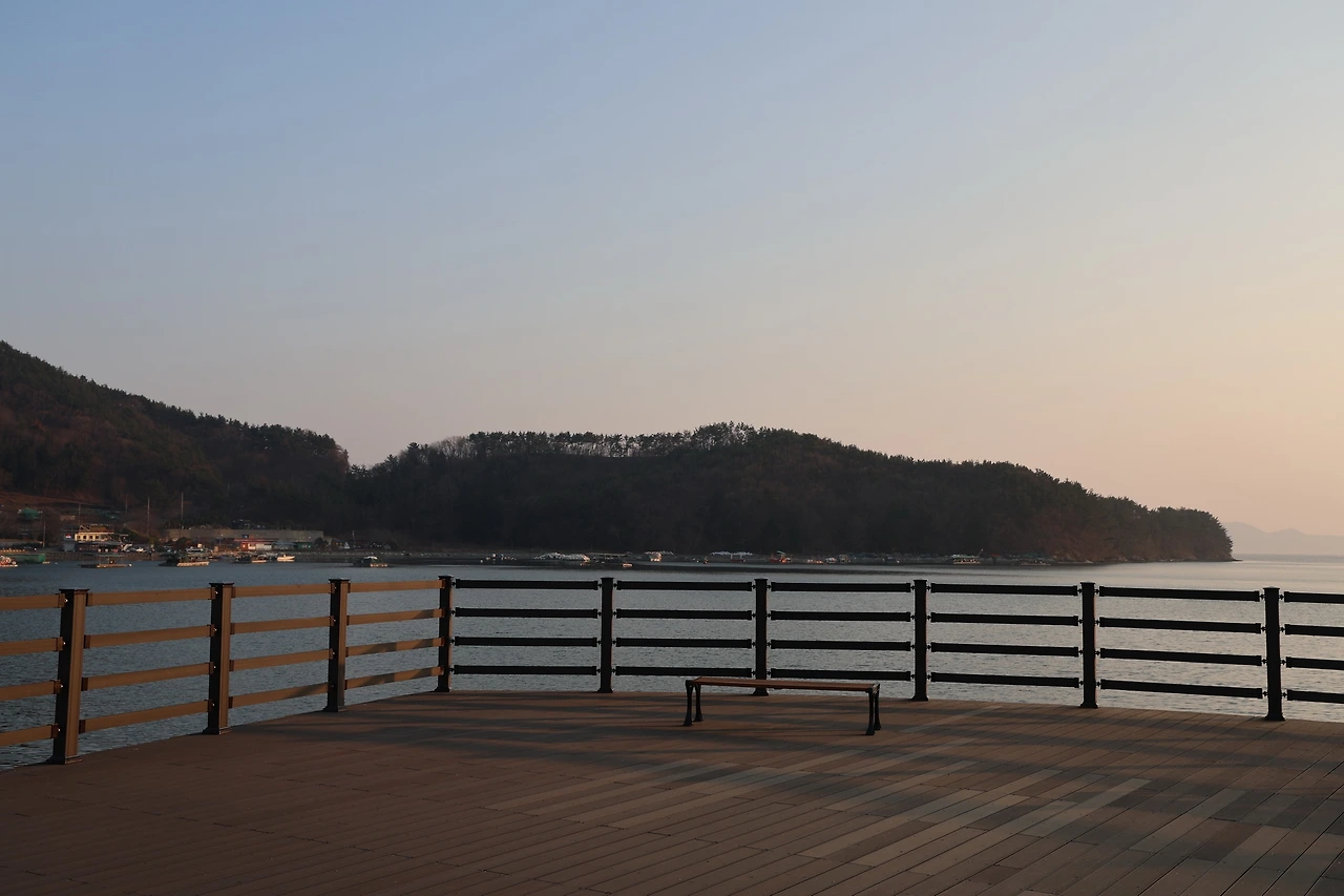 0R5A2060_новый размер.JPG