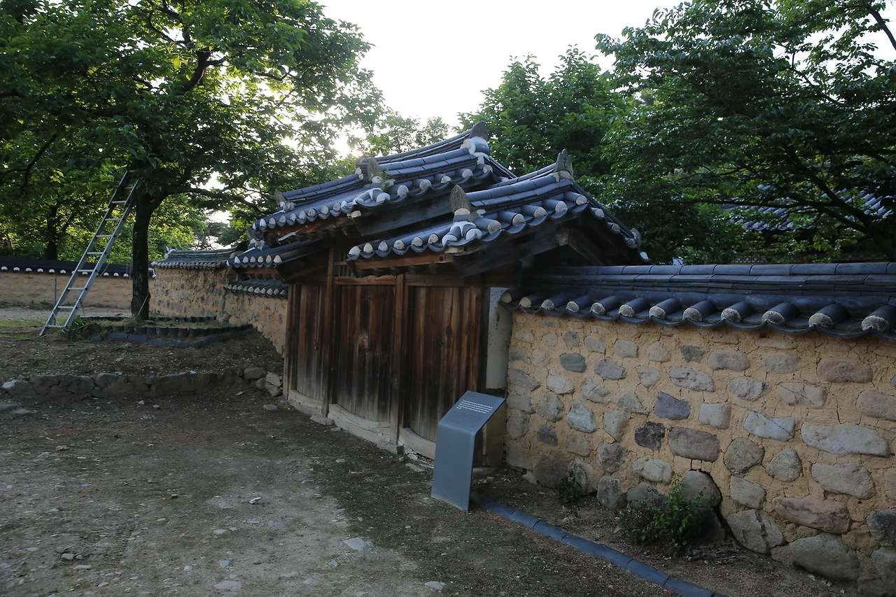 MG0A5283_новый размер.JPG