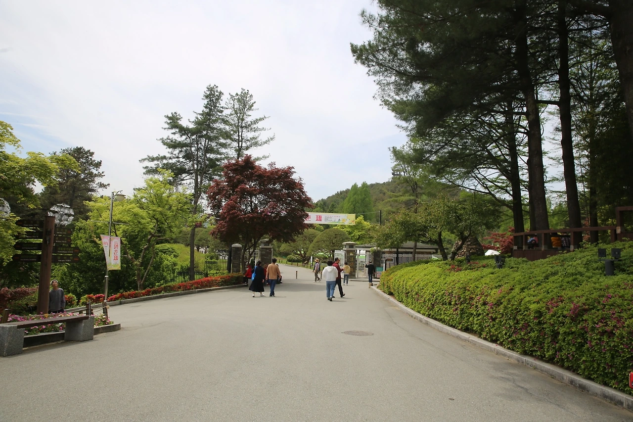 MG0A1110_новый размер.JPG