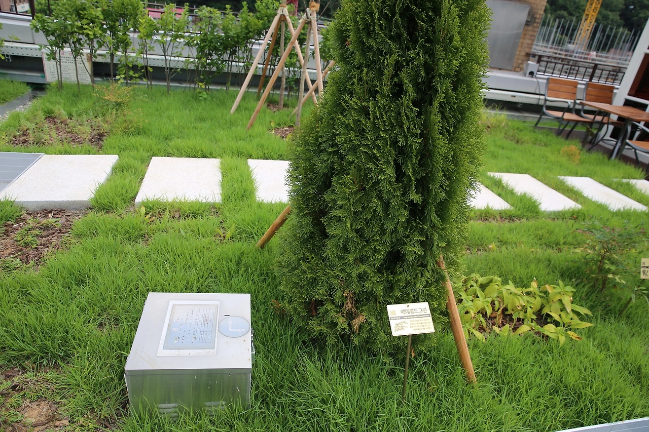 MG0A5441_новый размер.JPG