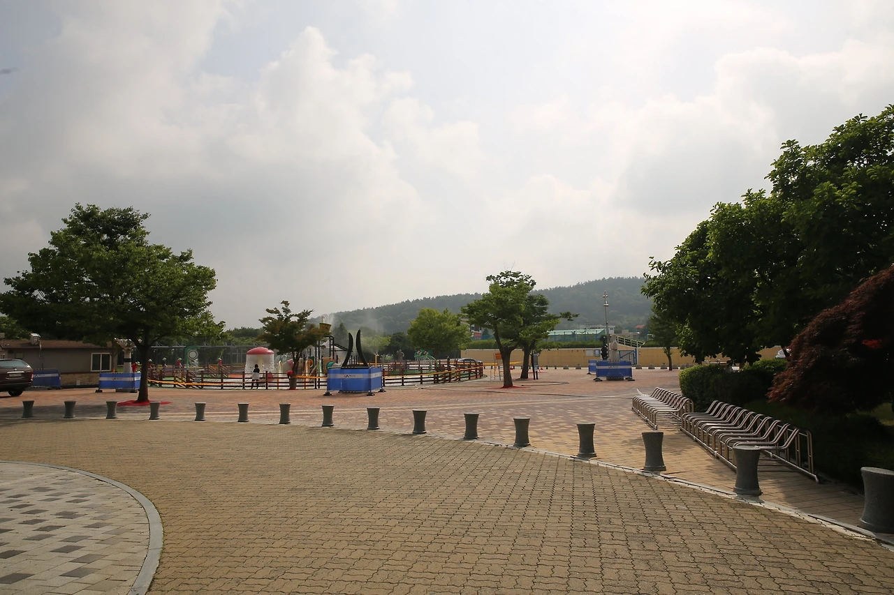 MG0A4004_новый размер.JPG