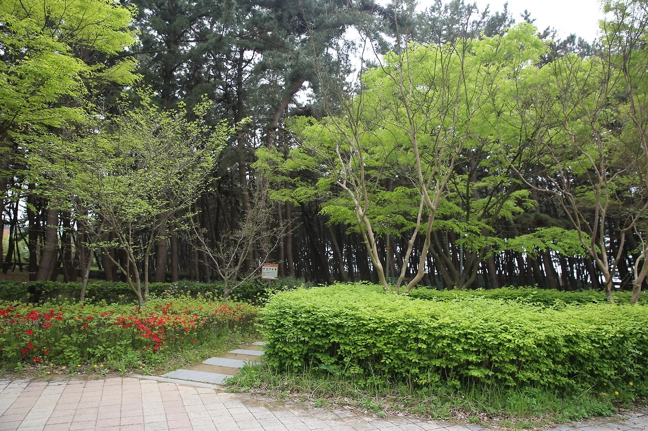 MG0A0538_новый размер.JPG