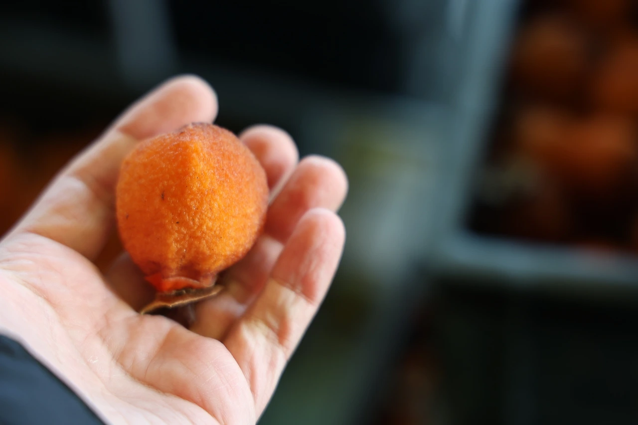 0R5A5505_новый размер.JPG