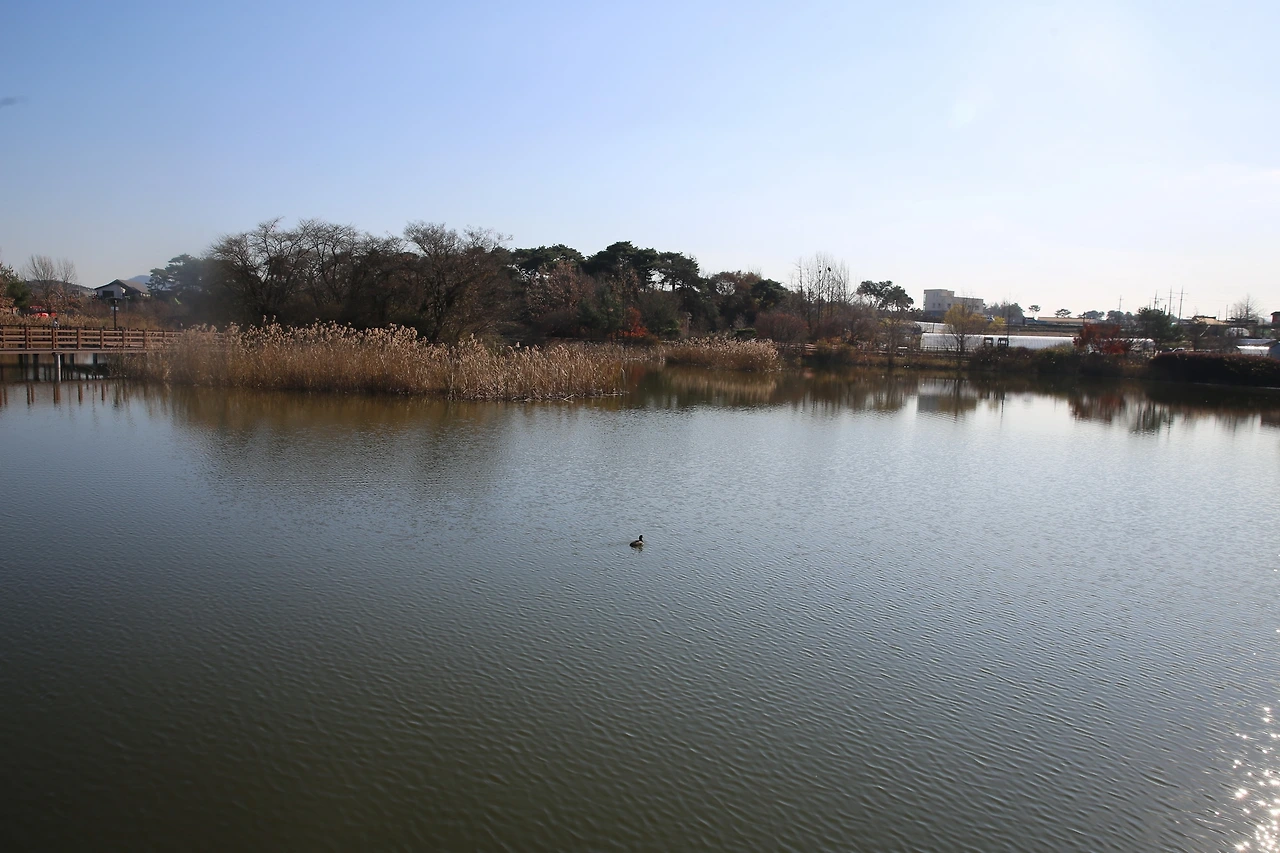 MG0A2709_новый размер.JPG