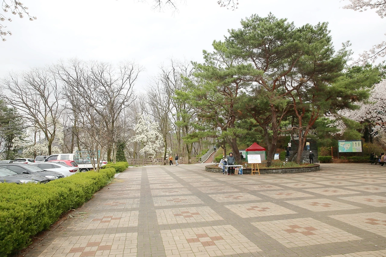 MG0A8197_новый размер_exposure.JPG