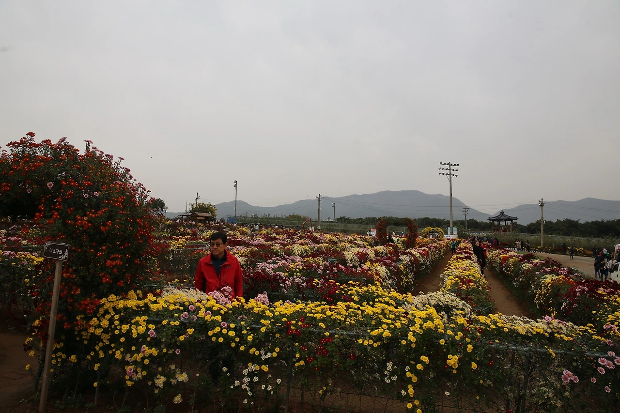 MG0A9673_новый размер.JPG